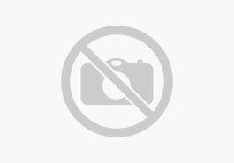 Seat Arona FR Beats 1.5 TSI  150PS  DSG    Navi  LED  Kamera  Alu